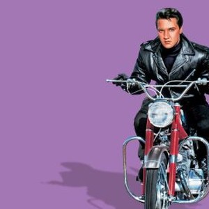 Roustabout photo 7