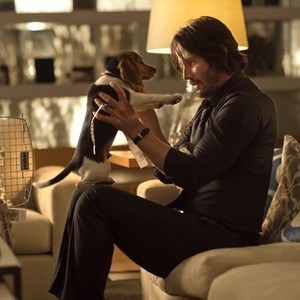 John Wick - Rotten Tomatoes