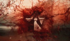 Y: The Last Man: Season 1 Opening Title Sequence photo 3