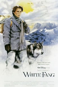 White Fang poster