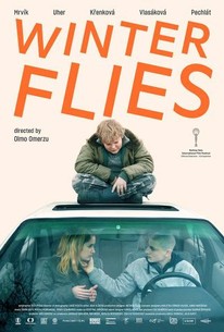 Winter Flies poster
