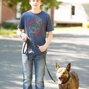 MAX, l-r: Josh Wiggins, Carlos the dog, 2015. ph: Kent Smith/©Warner Bros. Pictures