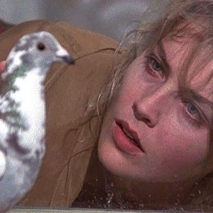 Scissors (1991)