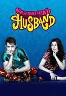 Second Hand Husband poster image
