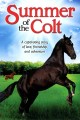 Summer of the Colt