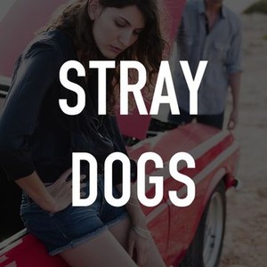 Stray Dogs photo 6