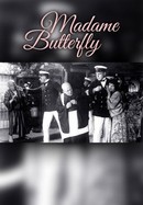 Madame Butterfly poster image