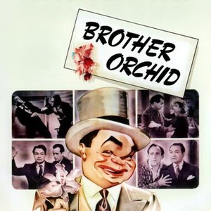 Brother Orchid photo 7