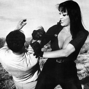 FASTER, PUSSYCAT! KILL! KILL!,  Paul Trinka, Tura Satana,1965