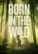 Born in the Wild poster image