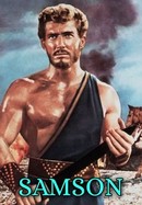 Samson poster image