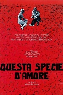 Questa specie d'amore | Rotten Tomatoes