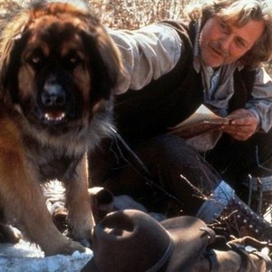 The Call of the Wild: Dog of the Yukon (1997) photo 3