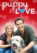 Puppy Love poster image