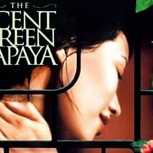 The Scent of Green Papaya photo 9