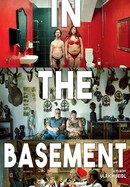 In the Basement poster image