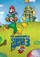 The Adventures of Super Mario Bros. 3 poster image