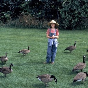 Fly Away Home (1996) photo 5