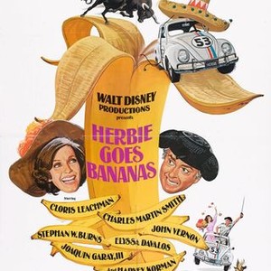 Herbie Goes Bananas (1980) photo 10