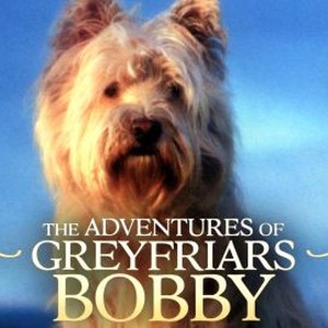 Greyfriars Bobby - Rotten Tomatoes