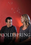 Cold Spring poster image