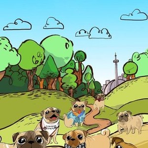 Pugly a clearance pug's life