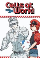Cells at Work! poster image