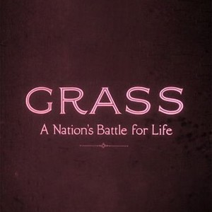 Grass: A Nation's Battle for Life photo 6