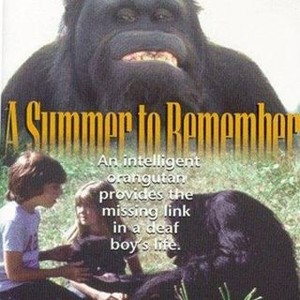 A Summer to Remember (1985) photo 9