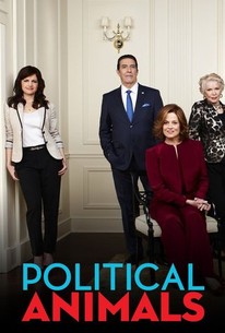 Political Animals poster image