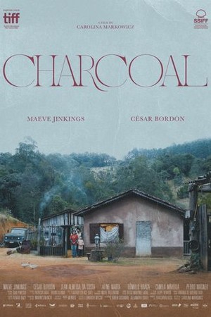 Charcoal poster