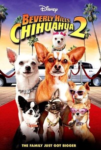 Poster for Beverly Hills Chihuahua 2