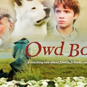 Owd Bob - Rotten Tomatoes