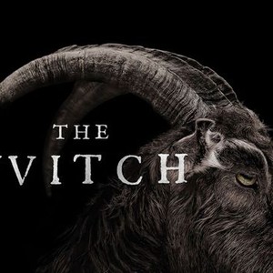 The Witch photo 9
