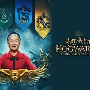 Harry Potter: Hogwarts Tournament Of Houses - Rotten Tomatoes