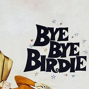 "Bye Bye Birdie photo 11"
