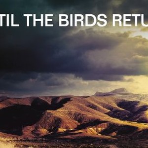 Until the Birds Return photo 4
