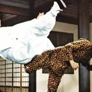 Hapkido Rotten Tomatoes