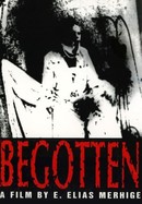 Begotten poster image