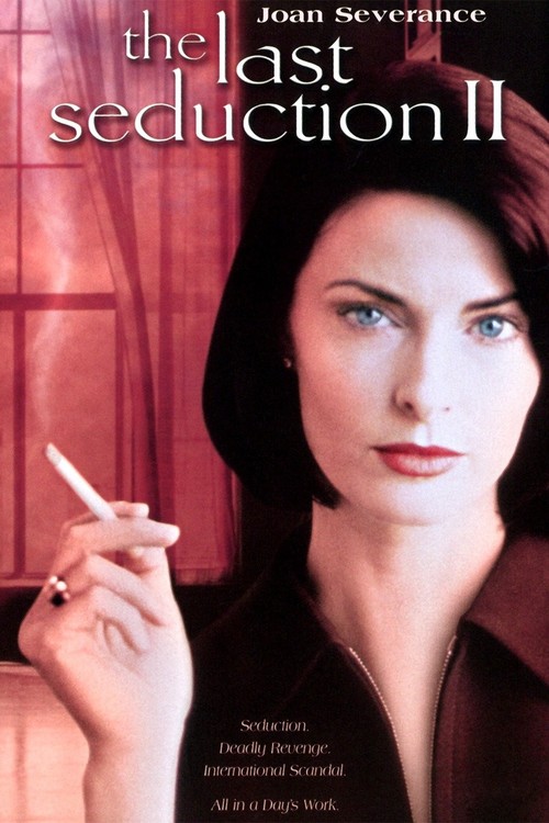 The Last Seduction II poster