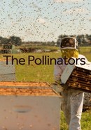 The Pollinators poster image