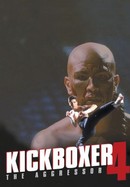 Kickboxer 4: The Aggressor poster image