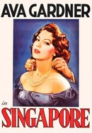 Singapore poster image