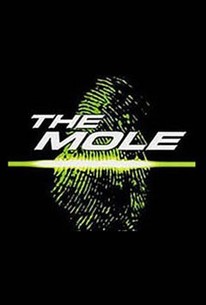 Netflix Renews “The Mole” for Season 2 - Morty's TV