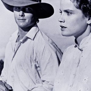 Return to Snowy River (1988) photo 3