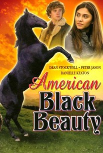 Poster for American Black Beauty