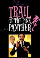 Trail of the Pink Panther poster image
