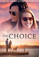The Choice poster image