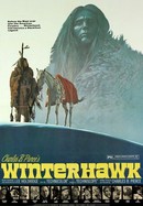 Winterhawk poster image