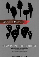 Depeche Mode: Spirits in the Forest poster image